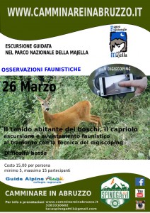 Locandina capriolo
