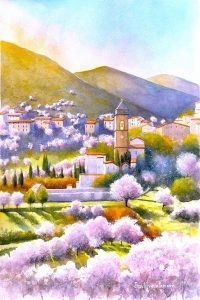 Mandorli a Santo Stefano di Sessani - Juan Alfredo Parisse