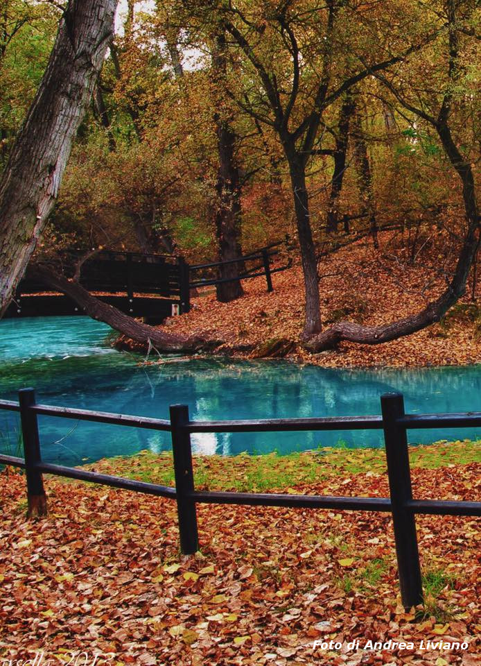 Il Parco Del Lavino L Oasi Alle Porte Di Pescara Strada Dei Parchi