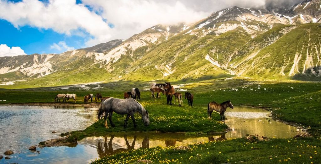 campo-imperatore-1