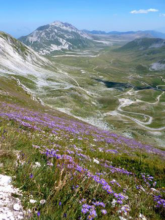 Creste gran Sasso definitiva