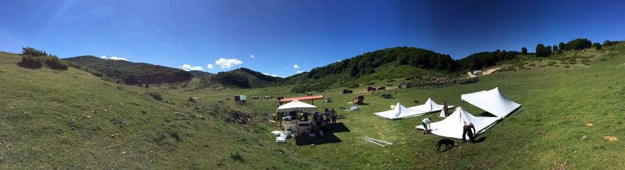 foto cavallo panorama