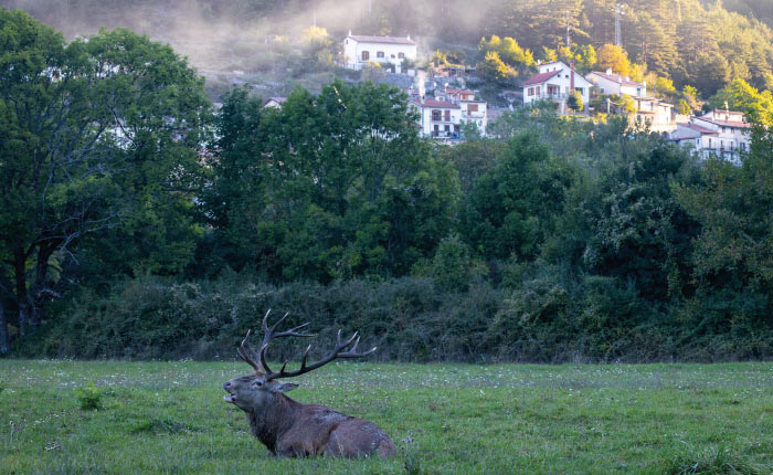 Il lago e i borghi dove i cervi sono di casa