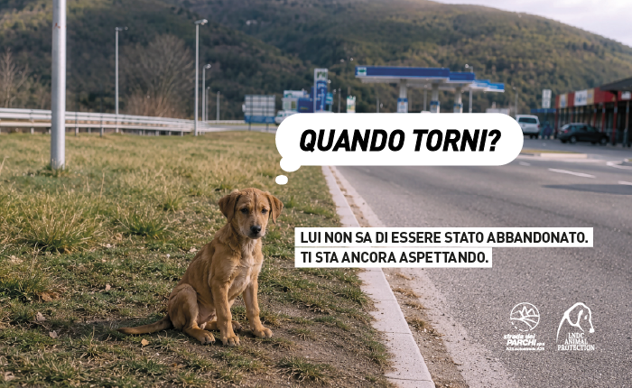 SdP e LNDC Animal Protection insieme contro l’abbandono degli animali