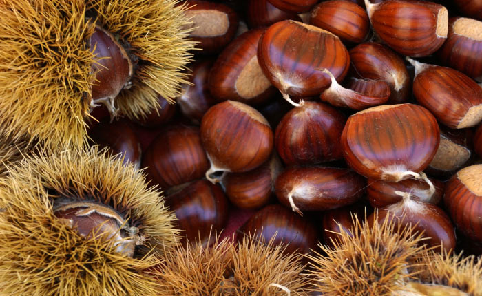 Castagne, boschi e sapori d’autunno sulle A24 e A25